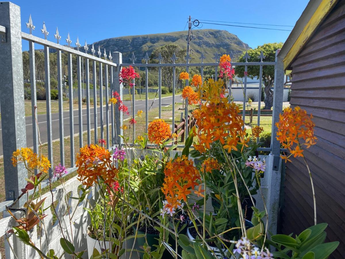 Hermanus 60 On Flat ภายนอก รูปภาพ